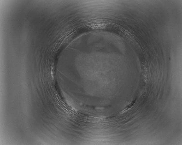 X0000051240604200507082126