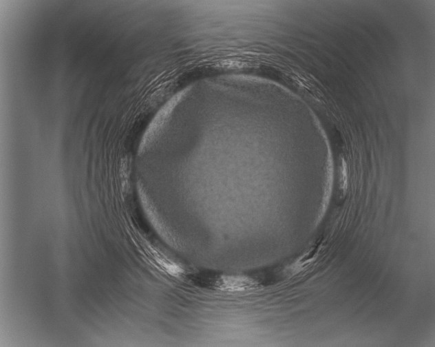 X0000051240605200507082126