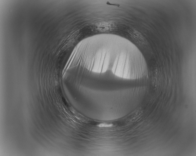 X0000051240606200507082126