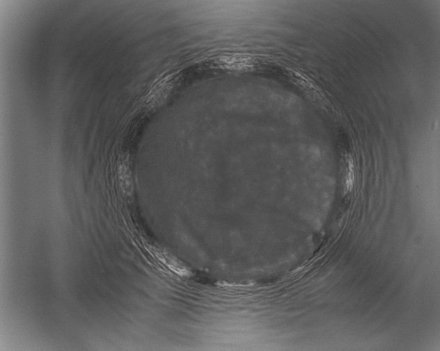 X0000051240609200507082126