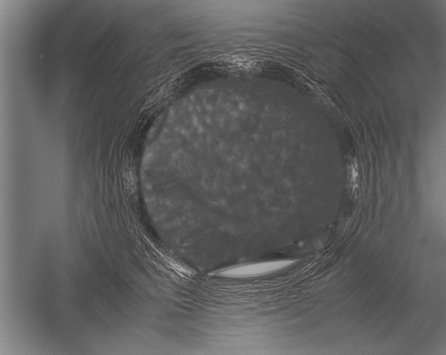 X0000051240613200507082126