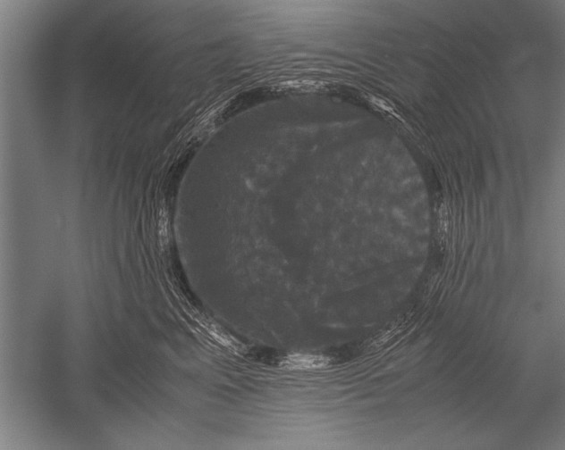 X0000051240617200507082126