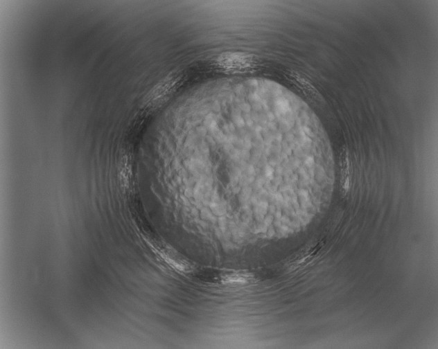 X0000051240618200507082126