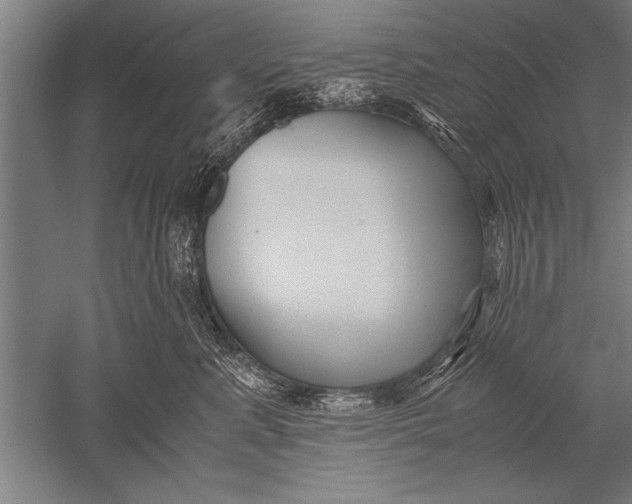 X0000051240619200507082126