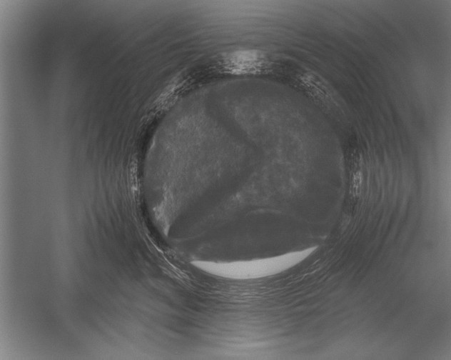 X0000051240620200507082126