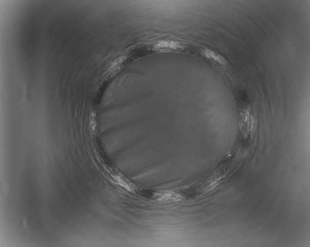 X0000051240621200507082126