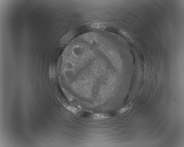 X0000051240623200507082126