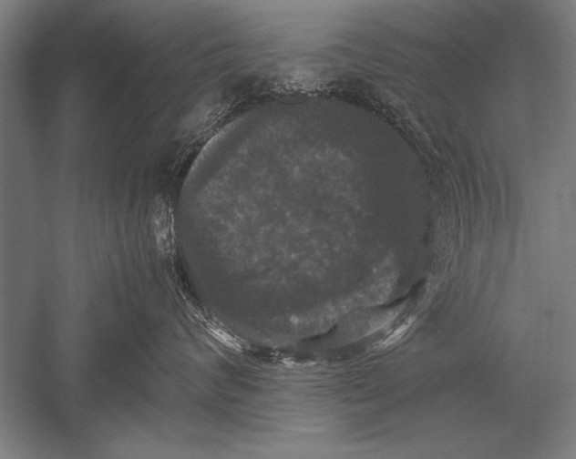 X0000051240624200507082126