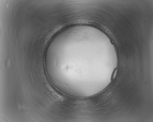 X0000051240625200507082125