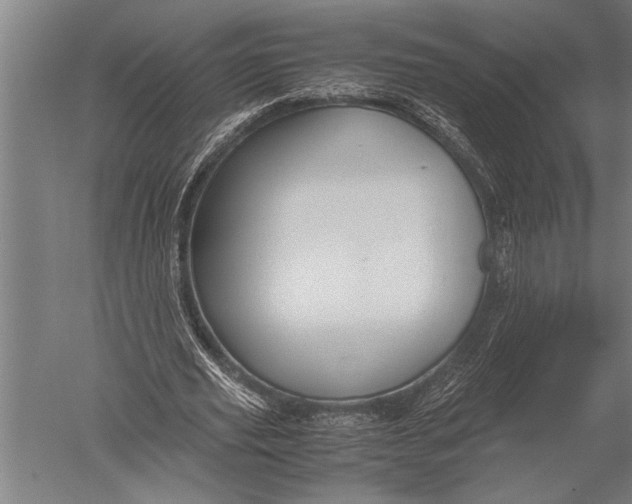 X0000051240629200507082125