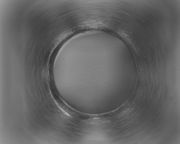 X0000051240630200507082125