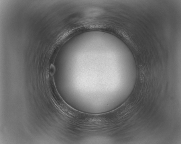 X0000051240631200507082125