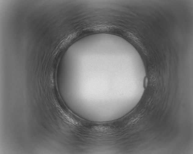 X0000051240633200507082125