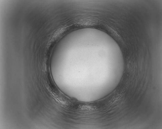 X0000051240635200507082125