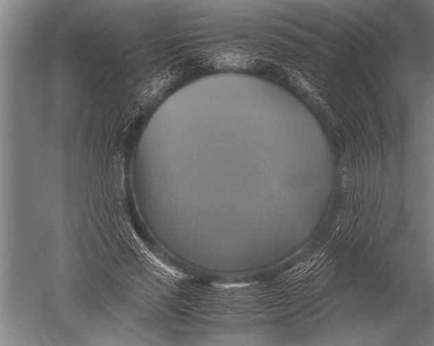 X0000051240637200507082125