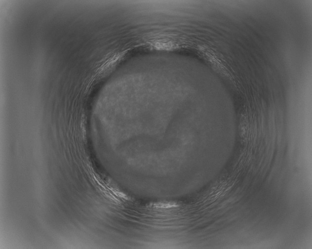 X0000051240639200507082125