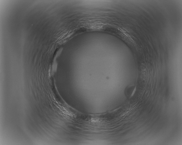 X0000051240641200507082125