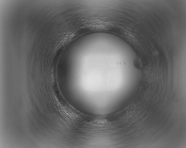 X0000051240642200507082125