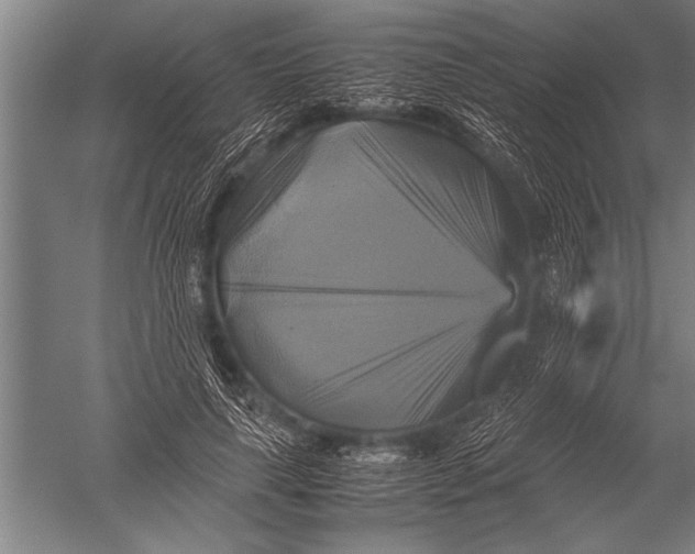 X0000051240643200507082125