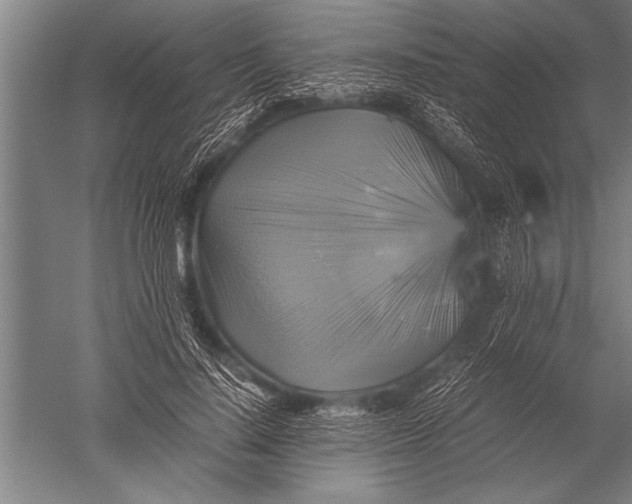 X0000051240644200507082125