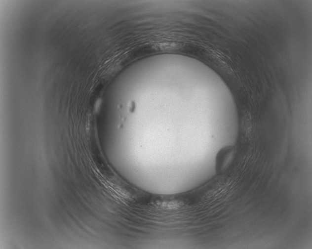 X0000051240645200507082125