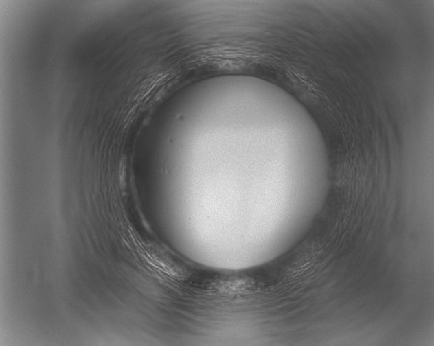 X0000051240646200507082125