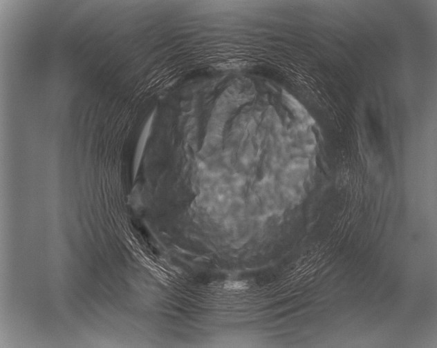 X0000051240647200507082125