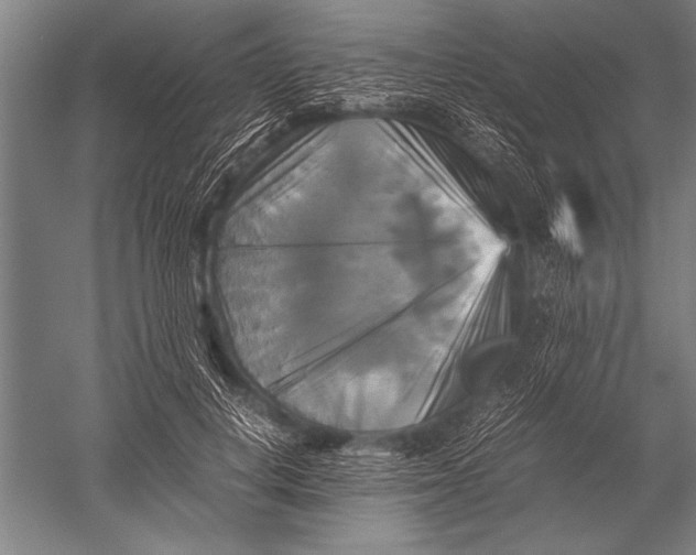 X0000051240648200507082125