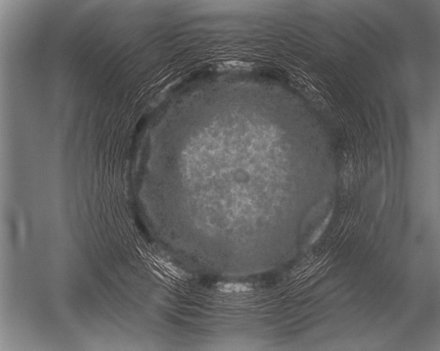 X0000051240649200507082125