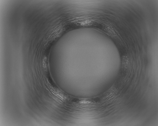 X0000051240650200507082125