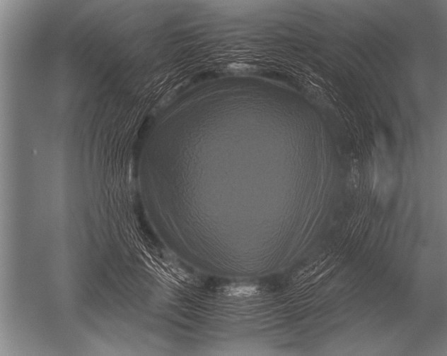 X0000051240651200507082125