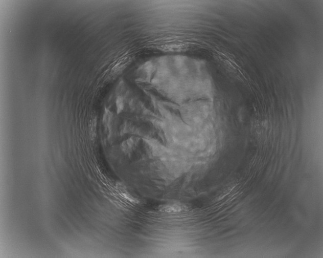 X0000051240652200507082125