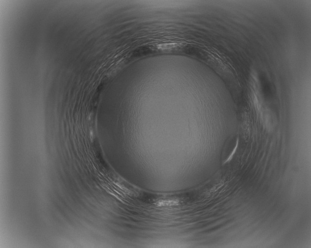 X0000051240653200507082125