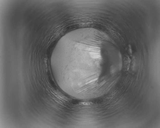 X0000051240654200507082125