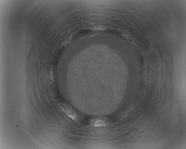 X0000051240655200507082125