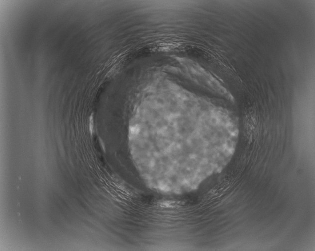 X0000051240657200507082125