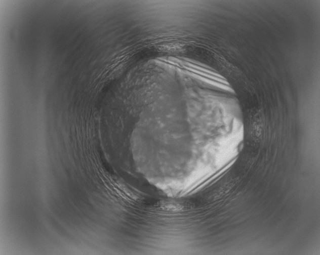 X0000051240658200507082125