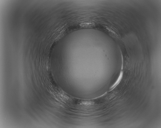 X0000051240659200507082125