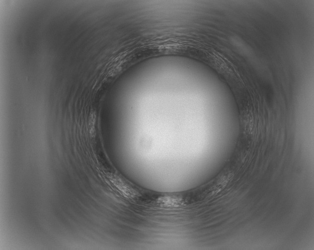 X0000051240660200507082125