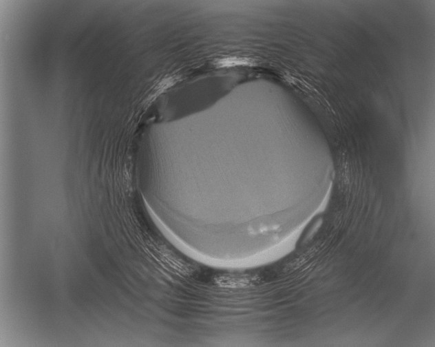 X0000051240661200507082125