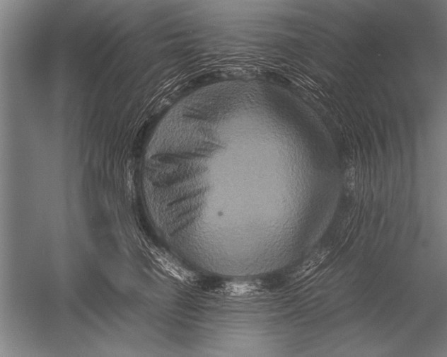 X0000051240662200507082125