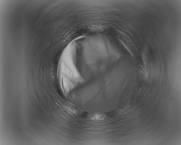 X0000051240663200507082125