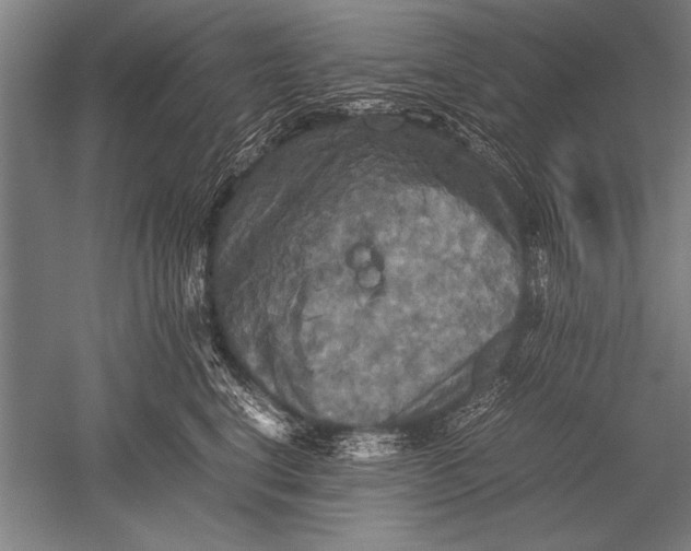 X0000051240664200507082125