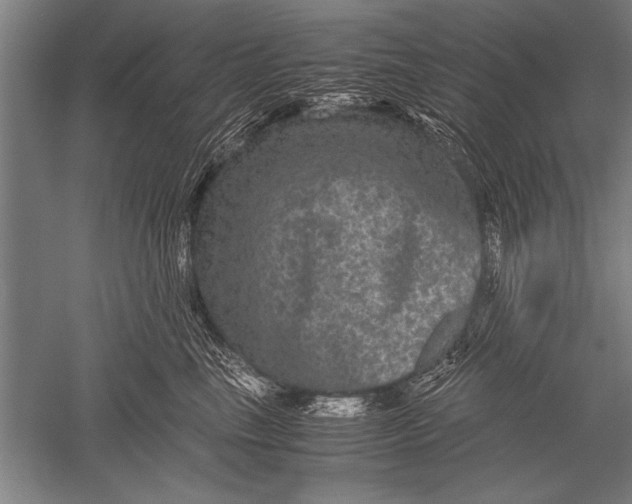 X0000051240665200507082125