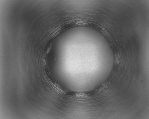 X0000051240666200507082125