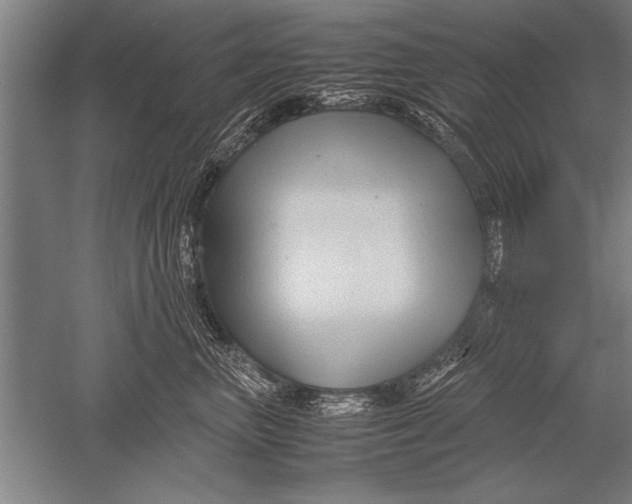 X0000051240667200507082125