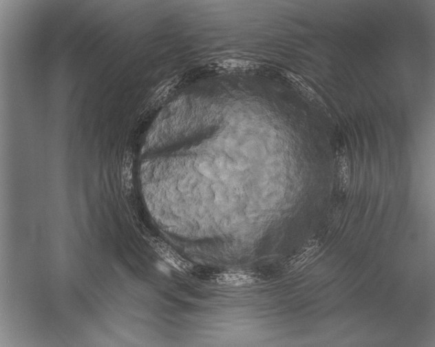 X0000051240668200507082126