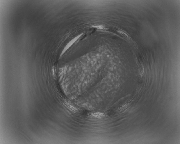 X0000051240669200507082126