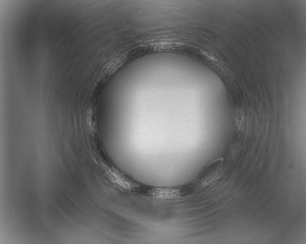 X0000051240670200507082126