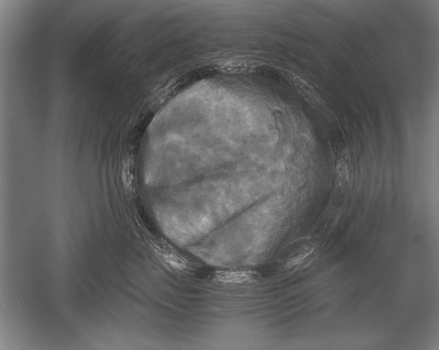 X0000051240671200507082126